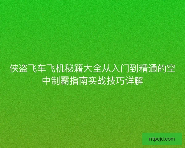 侠盗飞车飞机秘籍大全从入门到精通的空中制霸指南实战技巧详解